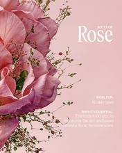 Load image into Gallery viewer, LOCCITANE Rose Body milk 玫瑰身体乳 250ml
