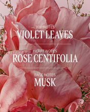 Load image into Gallery viewer, LOCCITANE Rose EAU DE TOILETTE玫瑰淡香水 50ml
